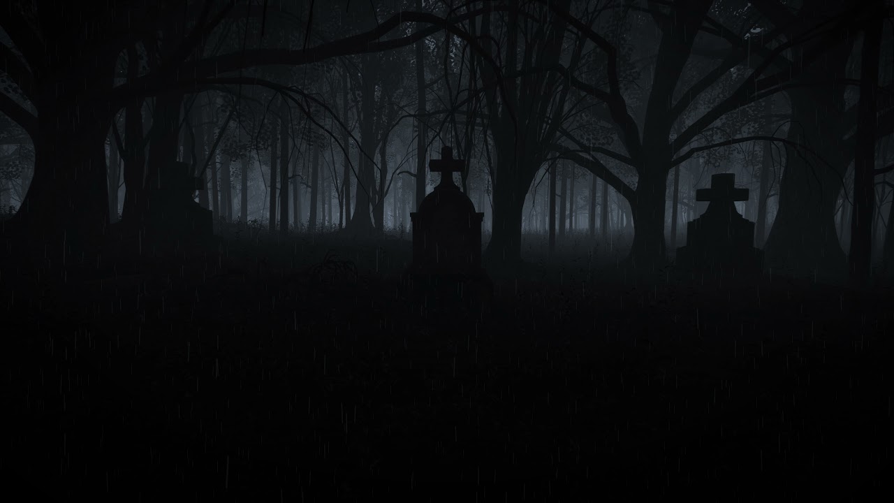 Dark Forest Video Footage - Dark Forest Strange Animation | Video 4K | Video HD