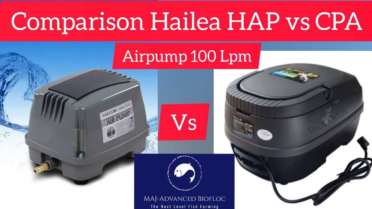 Comparison HAILEA 