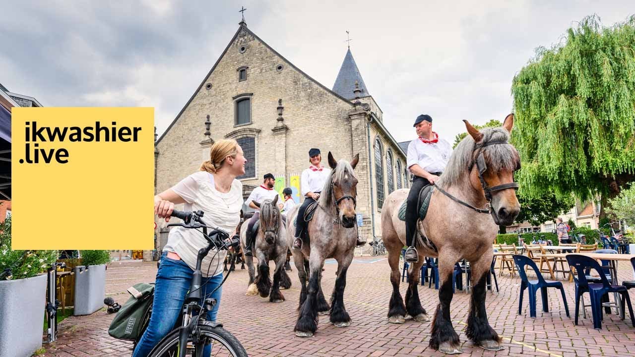 Belgische Trekpaarden in Sint-Paulus Paardenprocessie, afgeslankt in 2021 - ikwashier.live in Opwijk