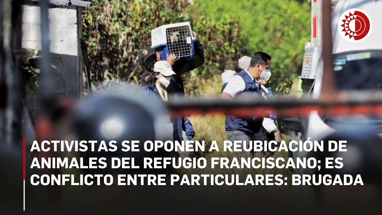 Refugio Franciscano en CDMX: activistas bloquean carretera México-Toluca por desalojo de animales