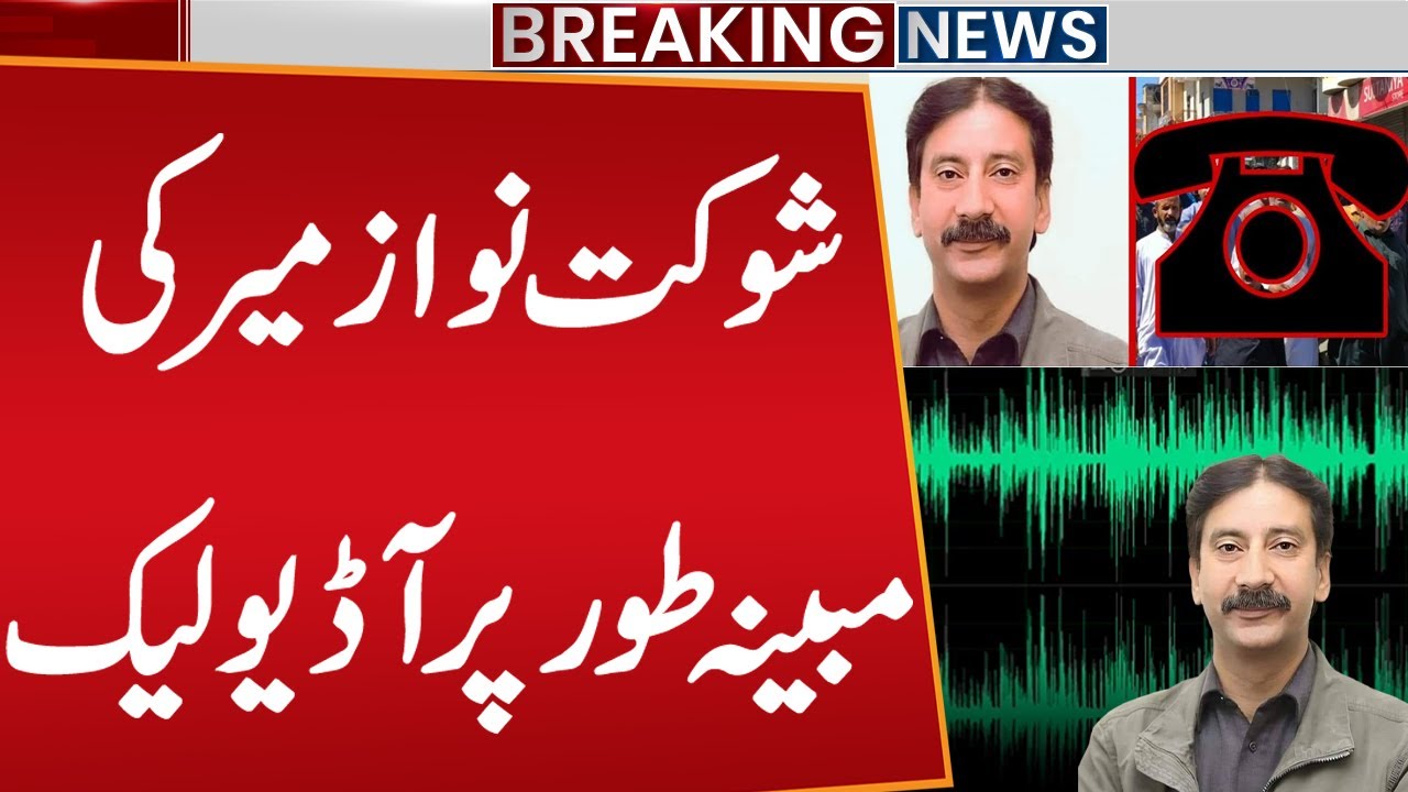 Alleged Audio Leak of Shaukat Nawaz Mir! | Breaking News | Public News