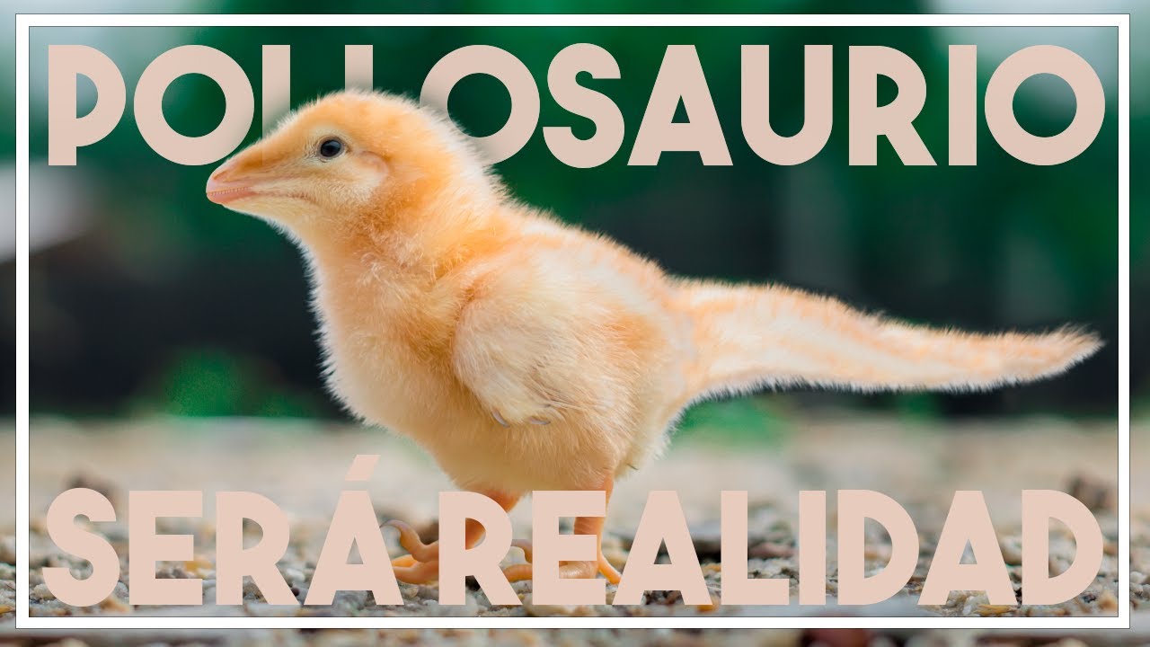 El POLLOSAURIO de Horner: ¿cuándo será realidad?