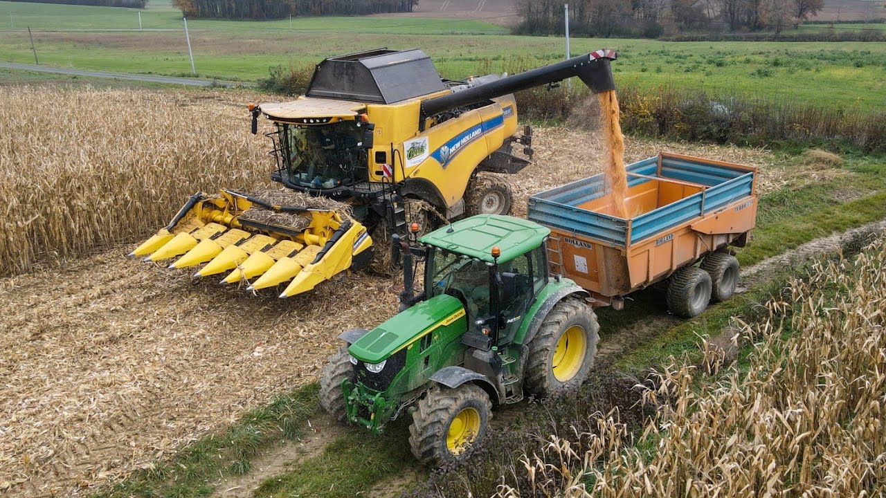 MOISSON DE MAÏS DANS DES CONDITIONS HUMIDES // 3X JOHN DEERE & CX8.80 //