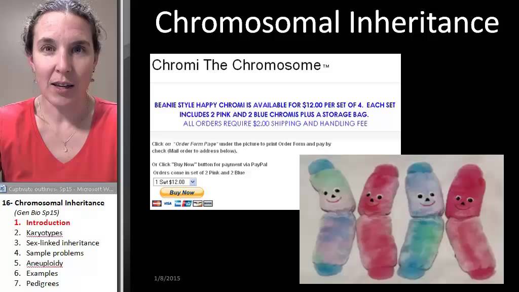 Chromosomes 1- Intro