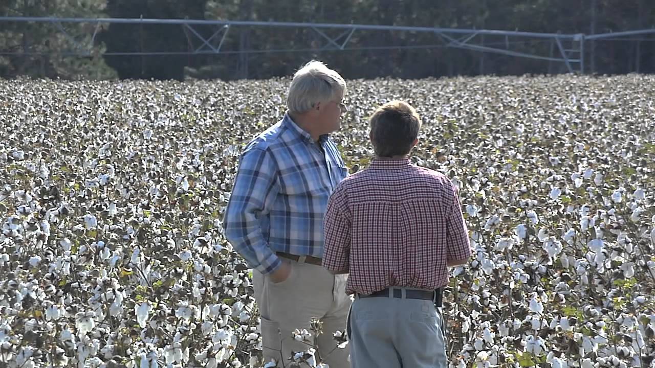 Extension Agents Play Vital Role In Success of Farmers