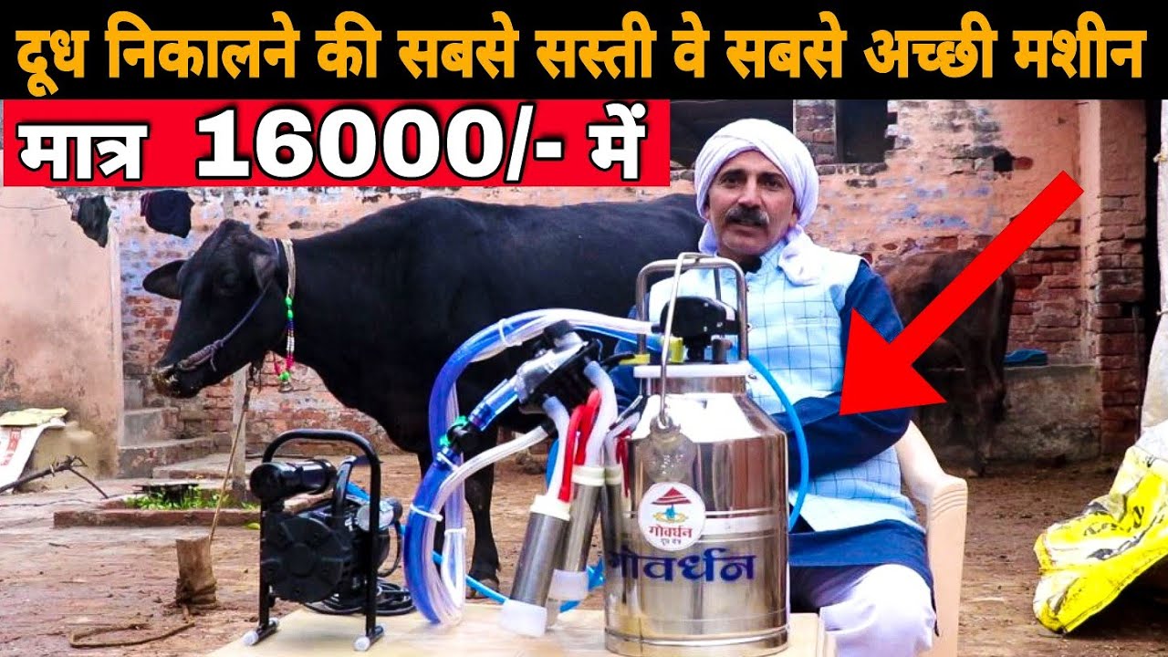 एक - दो पशुओ के लिये सबसे अच्छी दूध निकालने की मशीन | Single Bucket Milking Machine यहा से ले