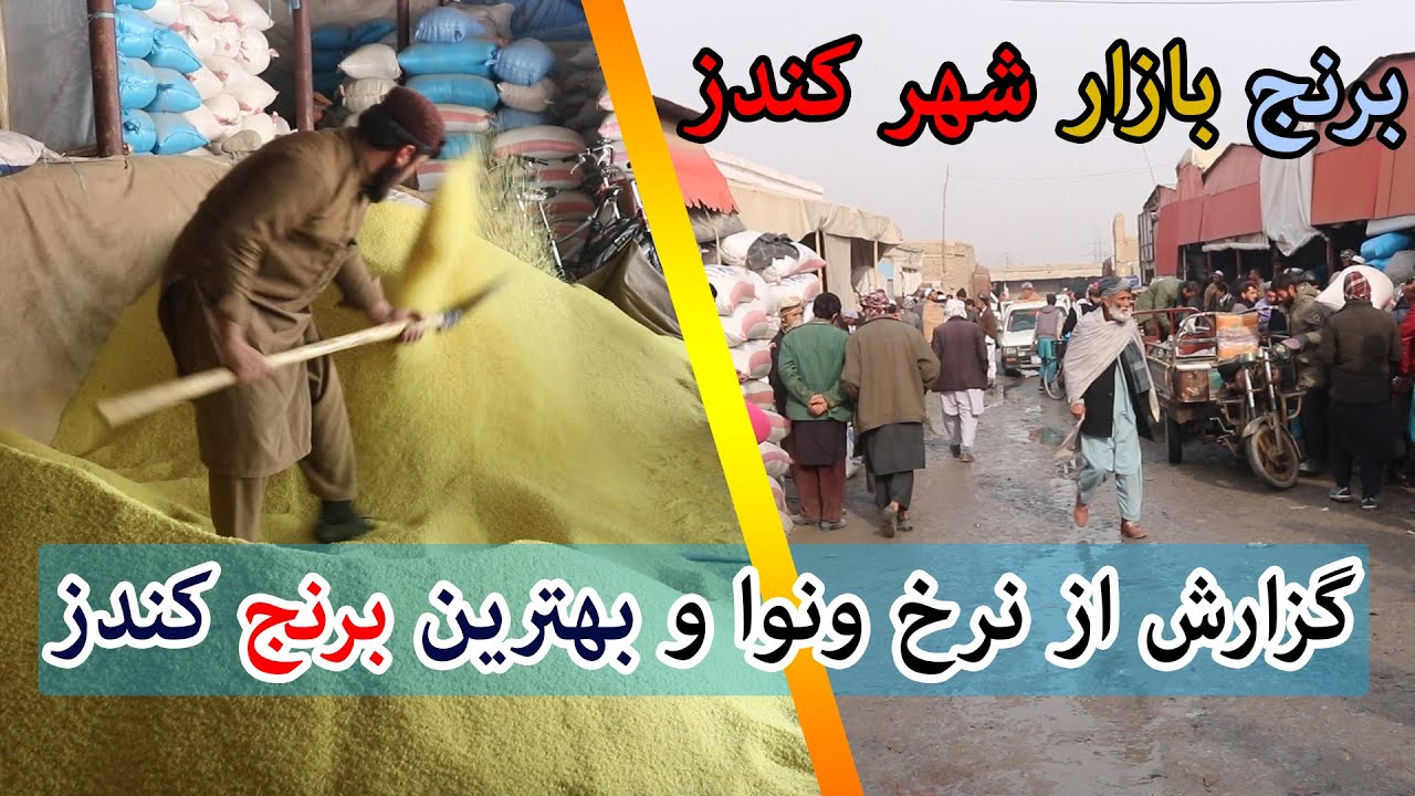 گزارش ویژه از برنج بازار کندز ونرخ ونوای برنج در کندز | بهترین برنج کندز کدام است؟ | تبسم شهر