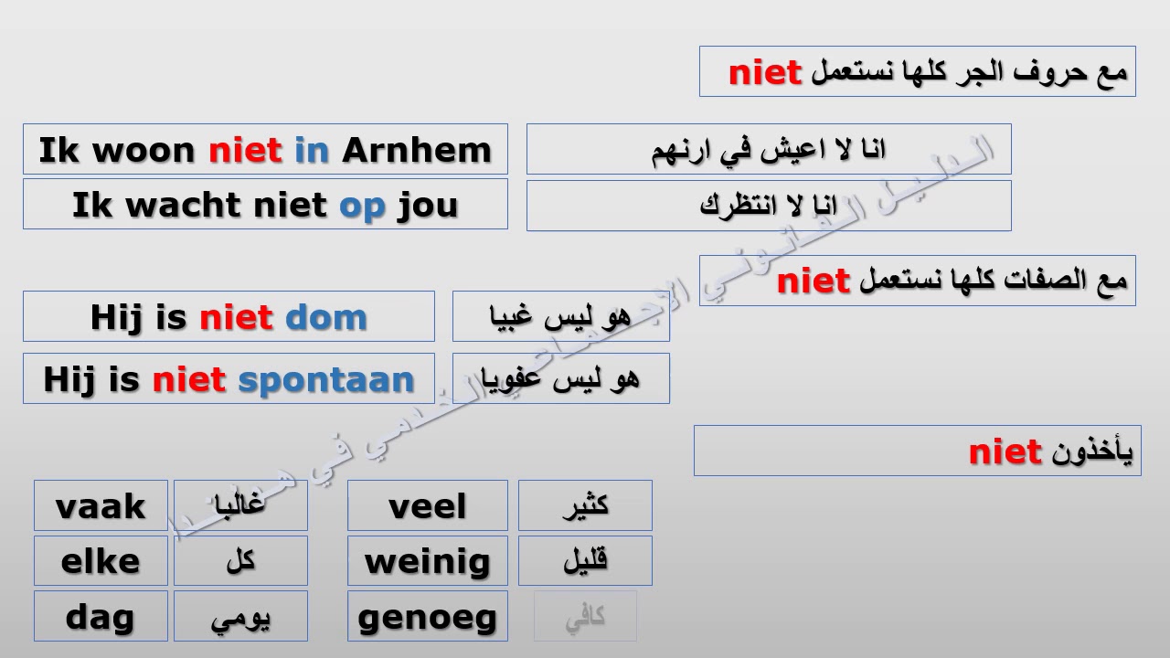تعلم اللغة الهولندية: الدرس الثاني عشر: النفي 12
