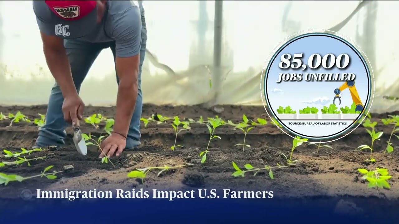 Famers look to robots for field work as immigration raids upend labor