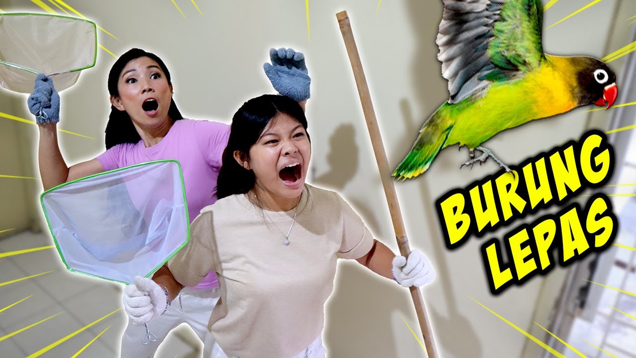 MENANGKAP BURUNG LEPAS, TERBANG DI RUMAH !! Vlog Drama Lucu | CnX Adventurers