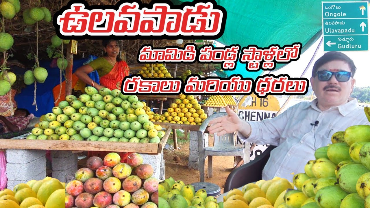 ఉలవపాడు హైవేలో మామిడి పండ్ల స్టాళ్ళు | Ulavapadu Mango Stalls | #ulavapadu #mango Varieties & Rates