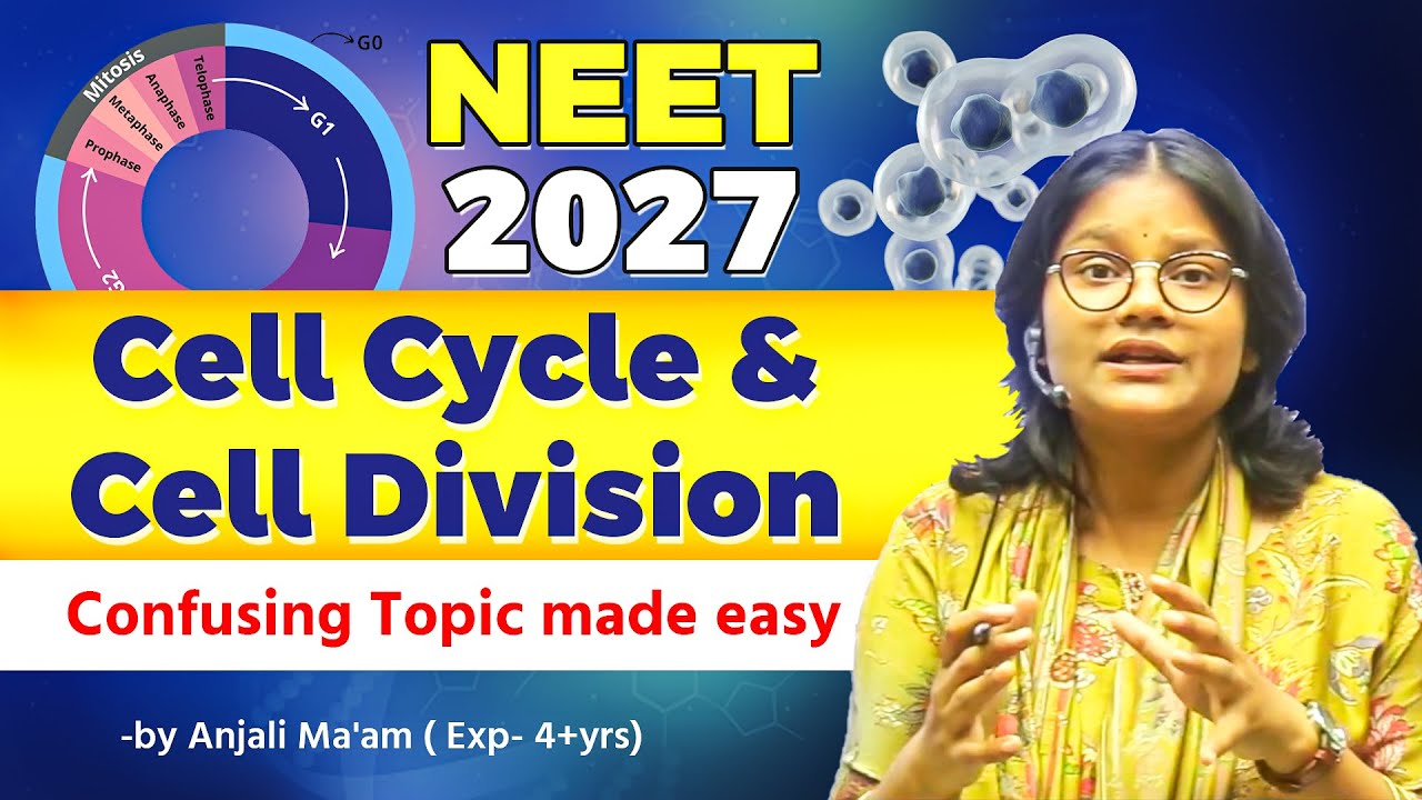 🔥Class 11th : Cell cycle And cell division | Neet 2027 Prepration | Complete Biology Neet 2027 