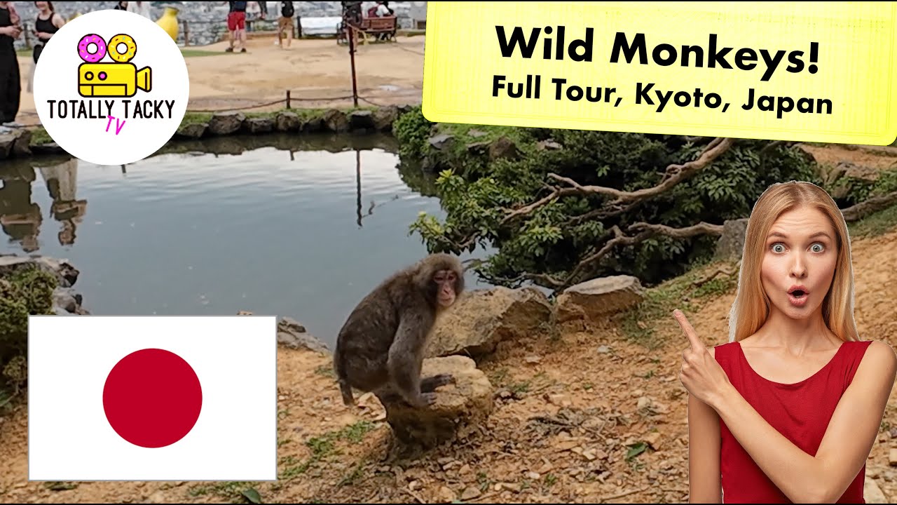 Arashiyama Iwatayama Wild Monkey Park / Otagi Nenbutsu-ji /   Ōi River / Kyoto Japan ASMR Trains 4K