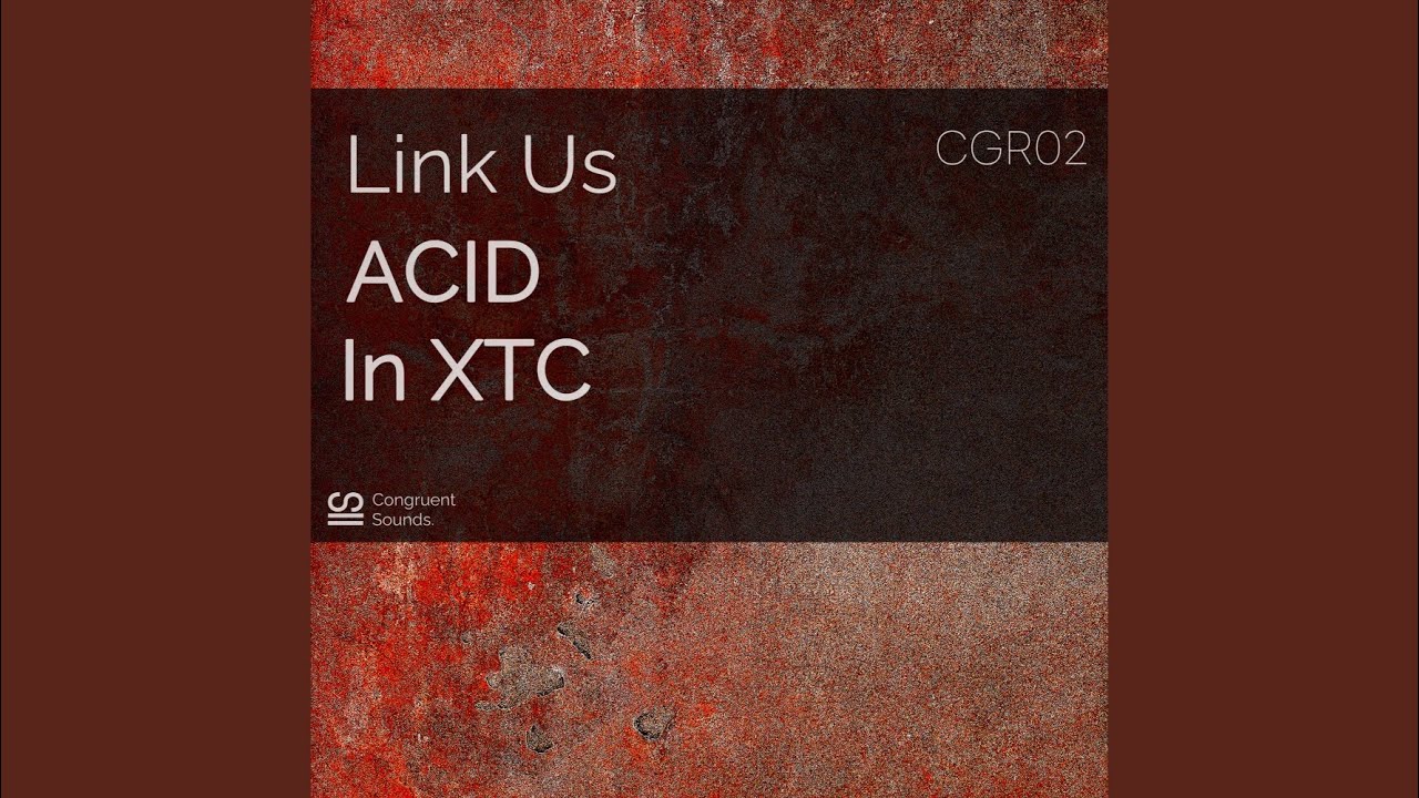 ACID In XTC (Extended Mix)