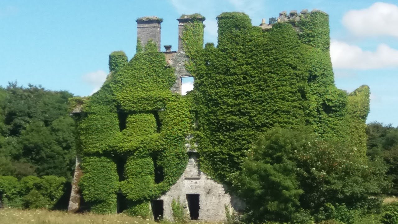 Scenic cruise of Corrib River & Lake by 