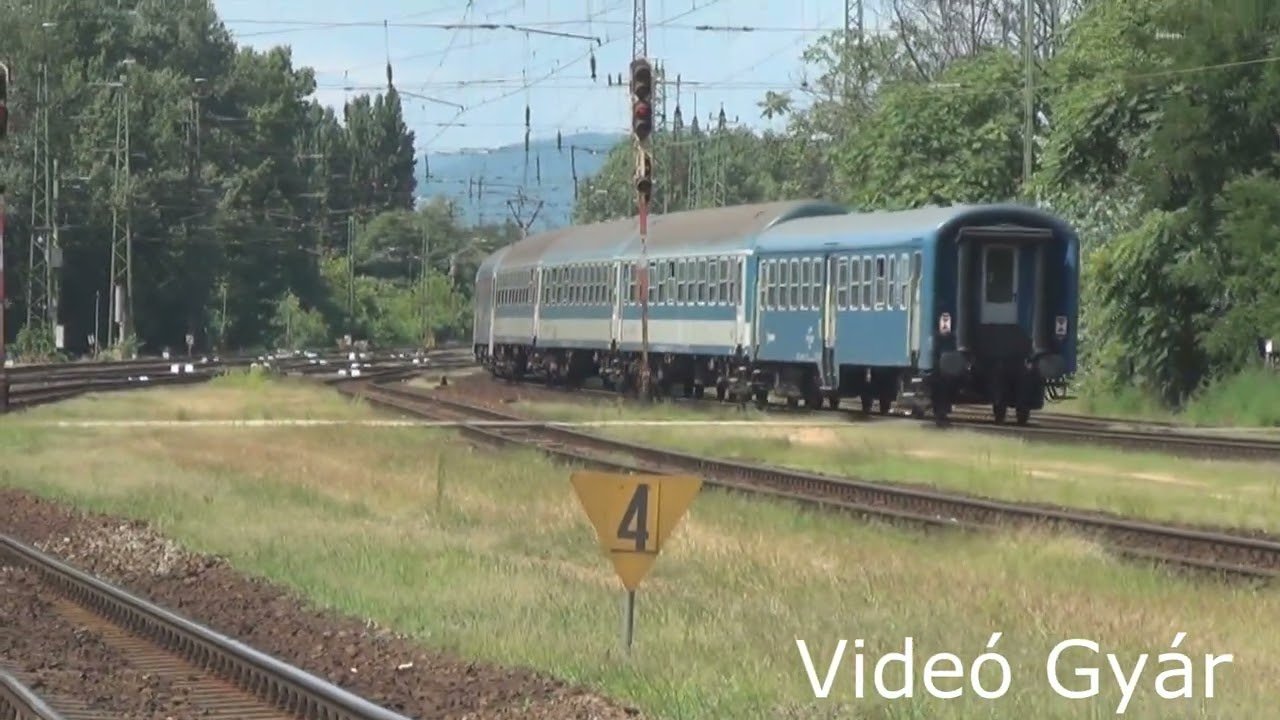 Kőbánya 2021 Fecske inga