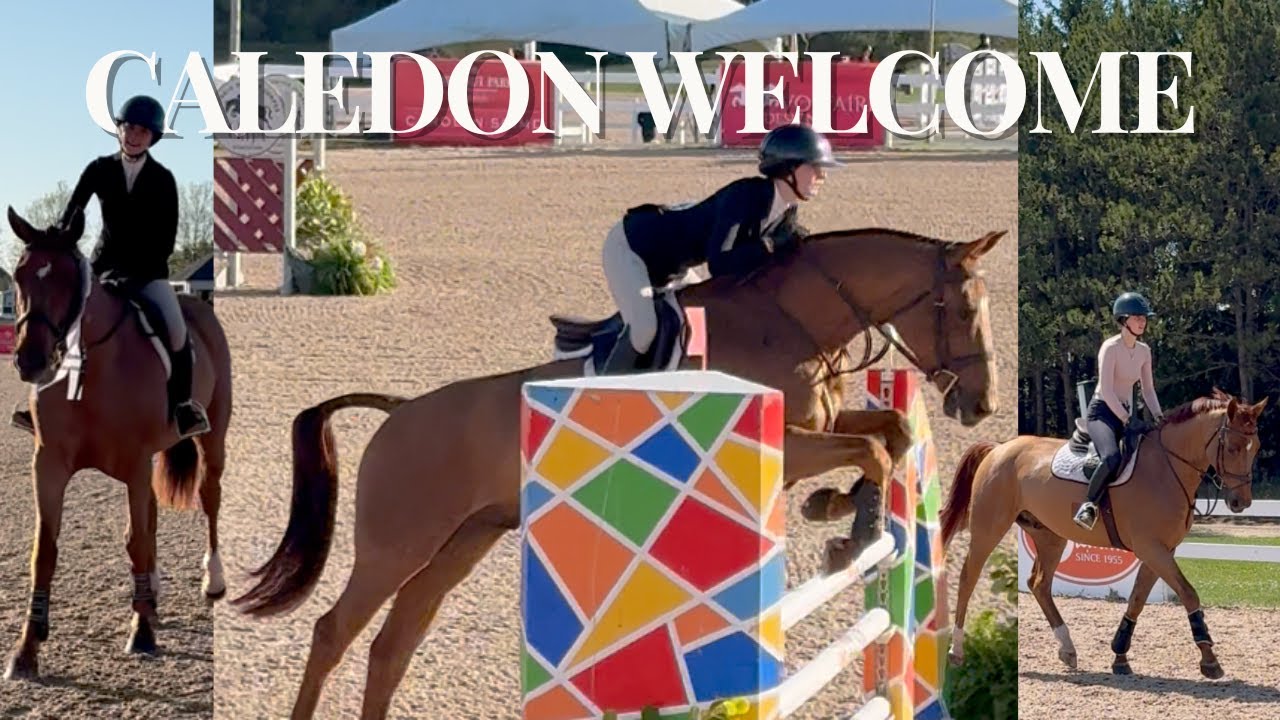 Getting back in the show ring! + first time in the Big Equitations