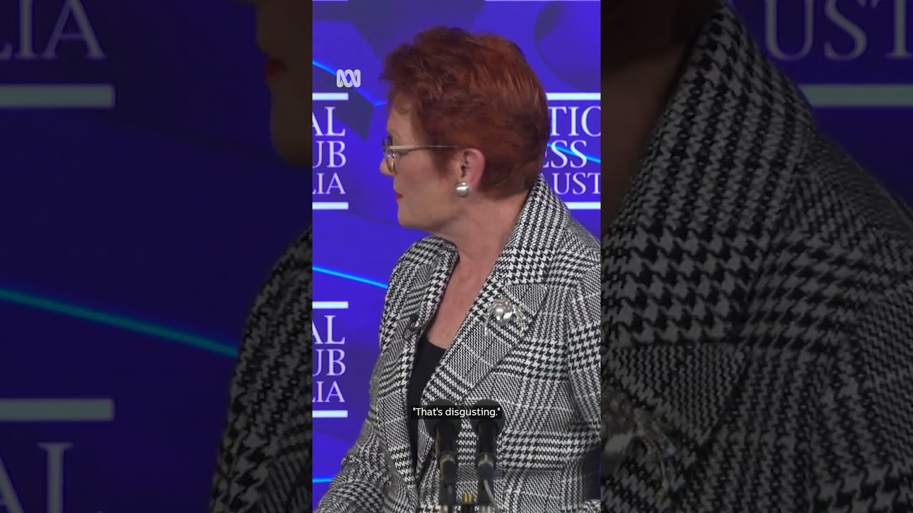 Protest banner interrupts Hanson press club address | ABC NEWS