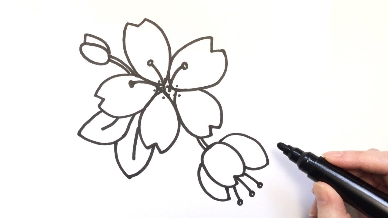 How to draw cherry blossom, flower | doodle #6