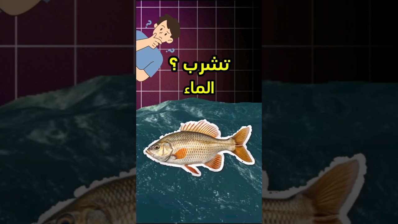 السمك يشرب الماء ؟ 