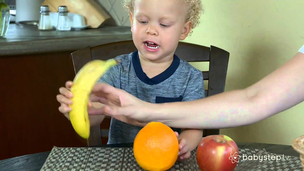 Sprachentwicklung (30 - 36 Monate) - babystep.tv