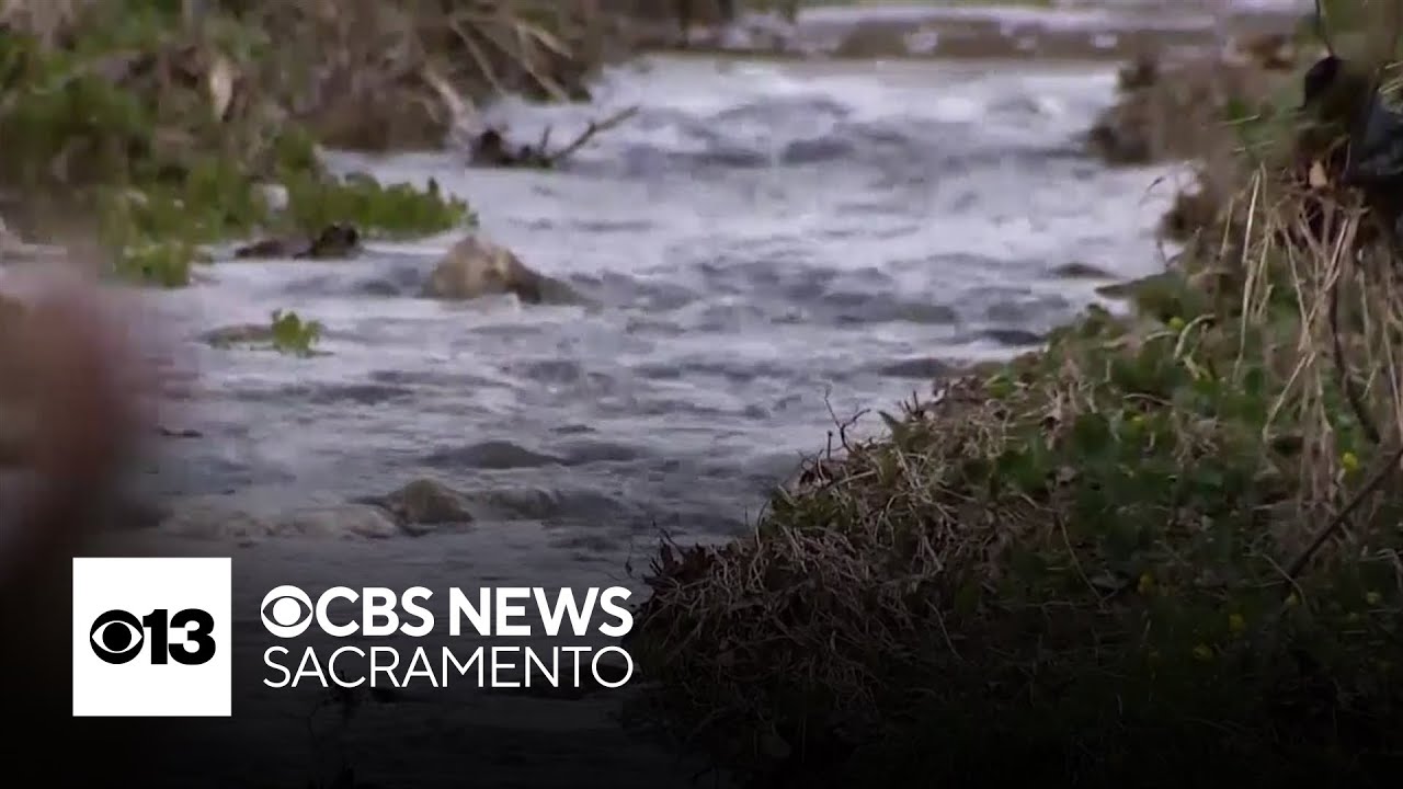Trump administration moves to direct more water to Central California farms