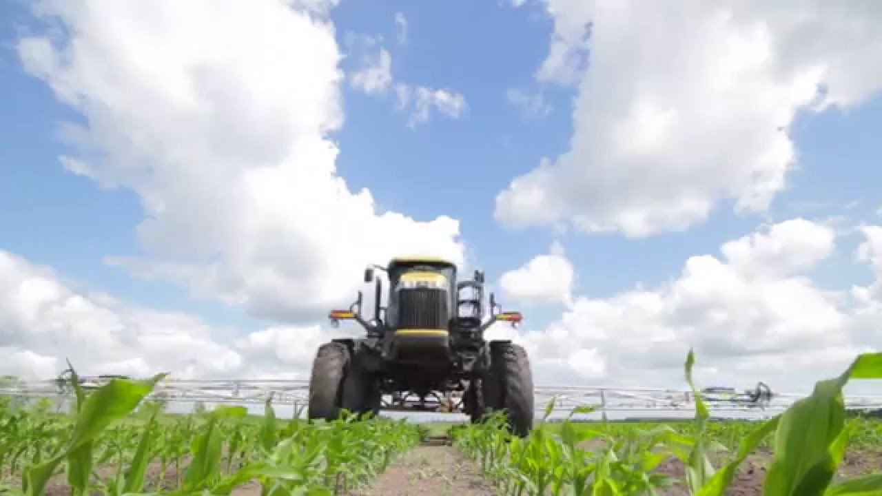 L'herbicide Armezon PRO témoignages de producteurs | BASF