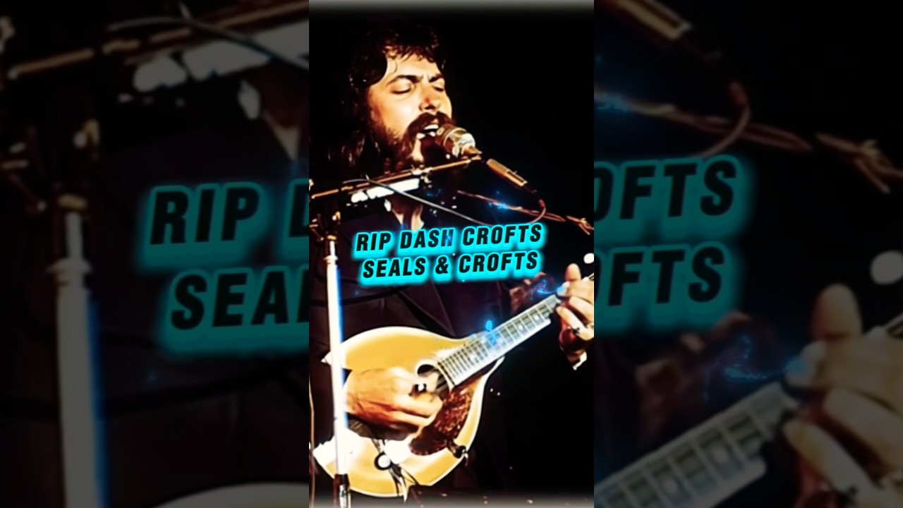 тюлени и летний бриз на ферме #70-е #музыка #классическийрок #музыка60-х #роклегенды #музыка70-х