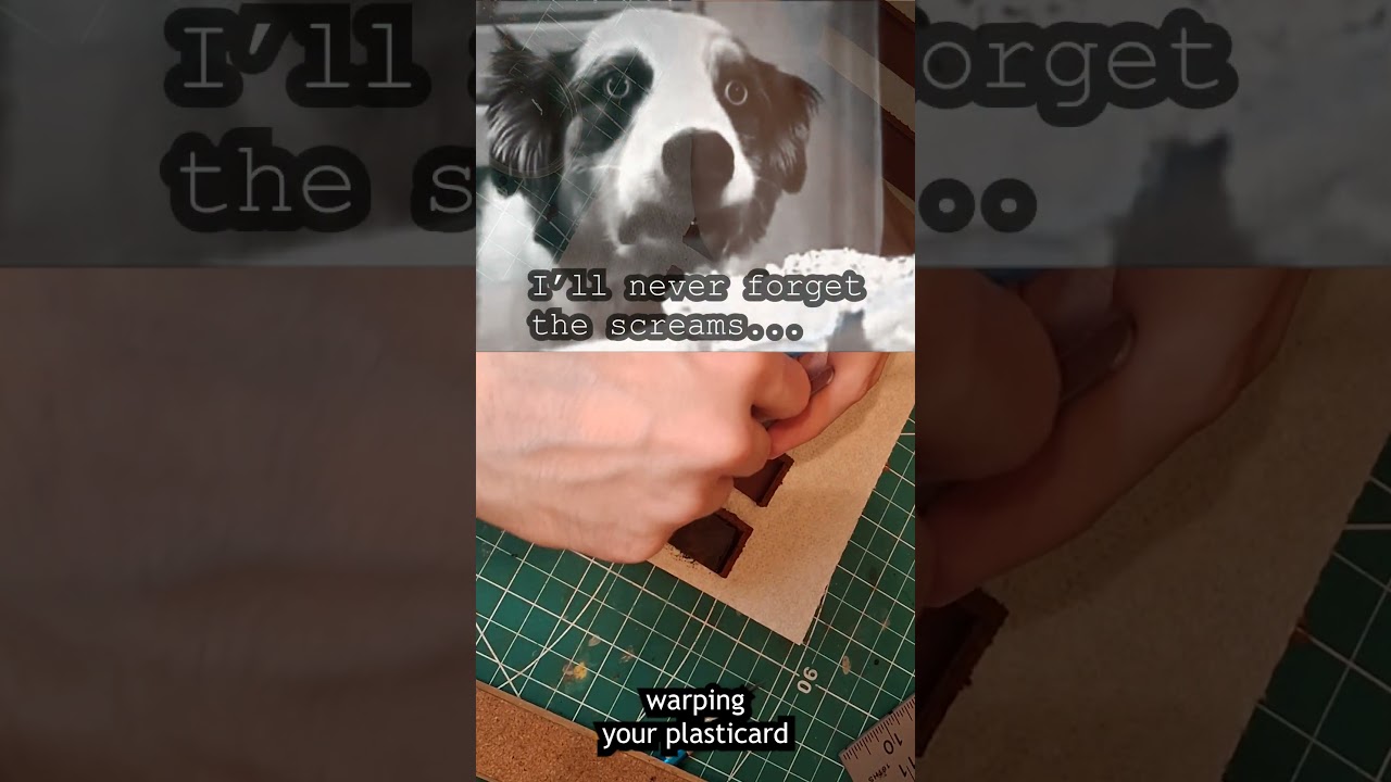 Movement Trays #Turnip28