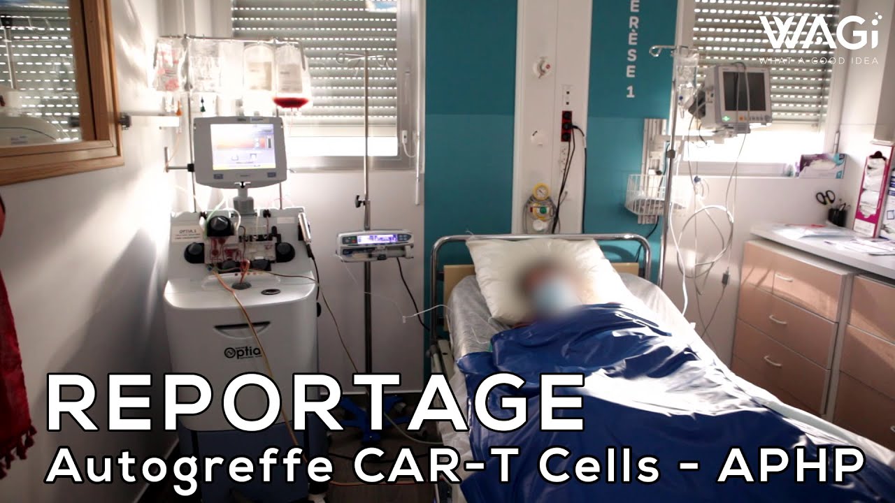 Comprendre l'autogreffe et les CAR-T Cells