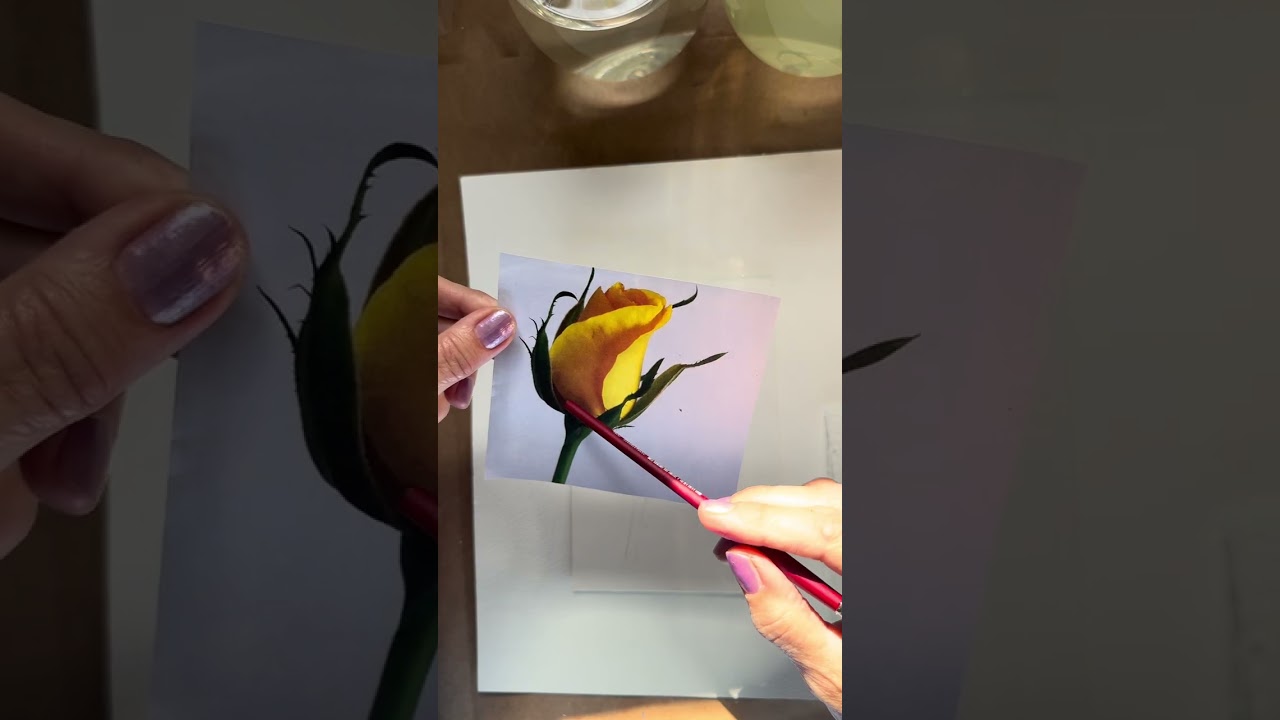 Watercolor Rosebud Step by Step
