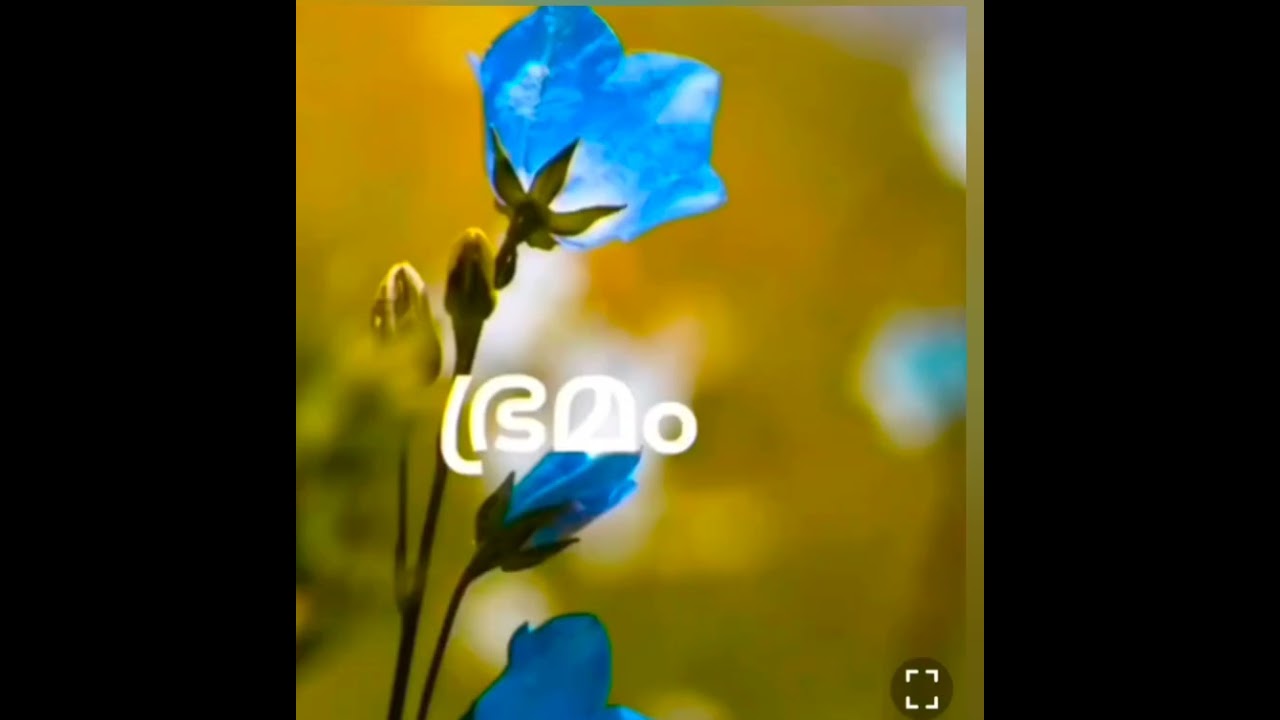 ഭ്രമം
