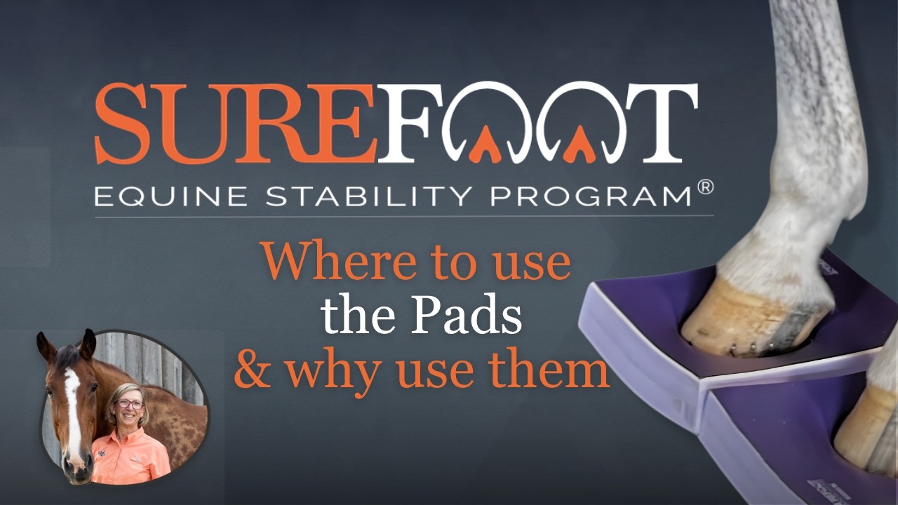 Where to use the SURE FOOT Equine pads and why use them