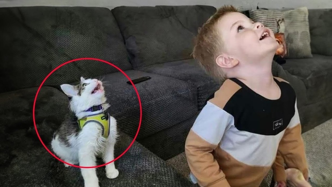 When Kittens Meet Puppies 😭🐾 The Internet Melted!