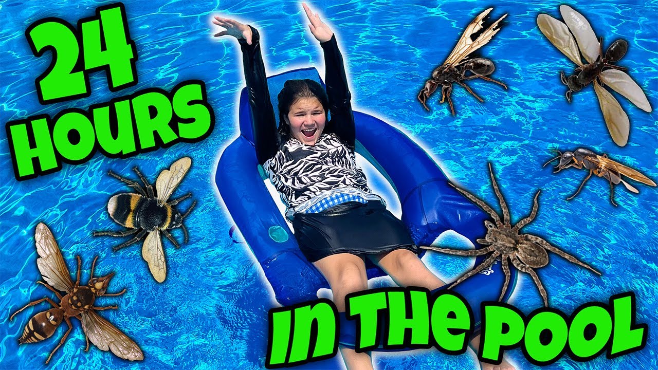 24 Hours In The Pool Challenge! Giant Bees And Wolf Spiders! Can We Win A Tesla From Mr. Beast?