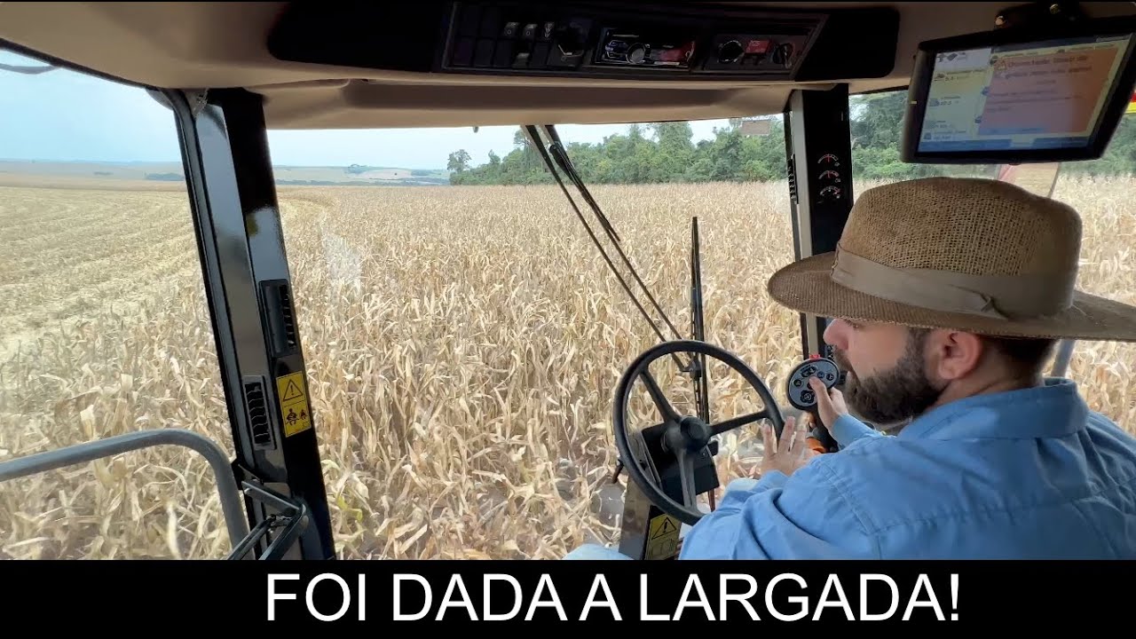 QUAL FOI A PRODUTIVIDADE??? - COMEÇAMOS A COLHEITA DO MILHO SAFRINHA