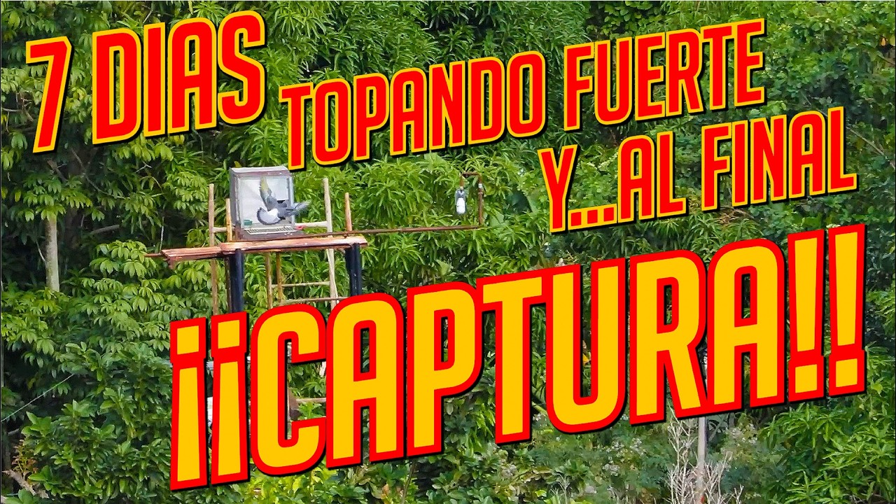 CAPTURA en el TOPE en el CAMILO - VIDEO COMPLETO
