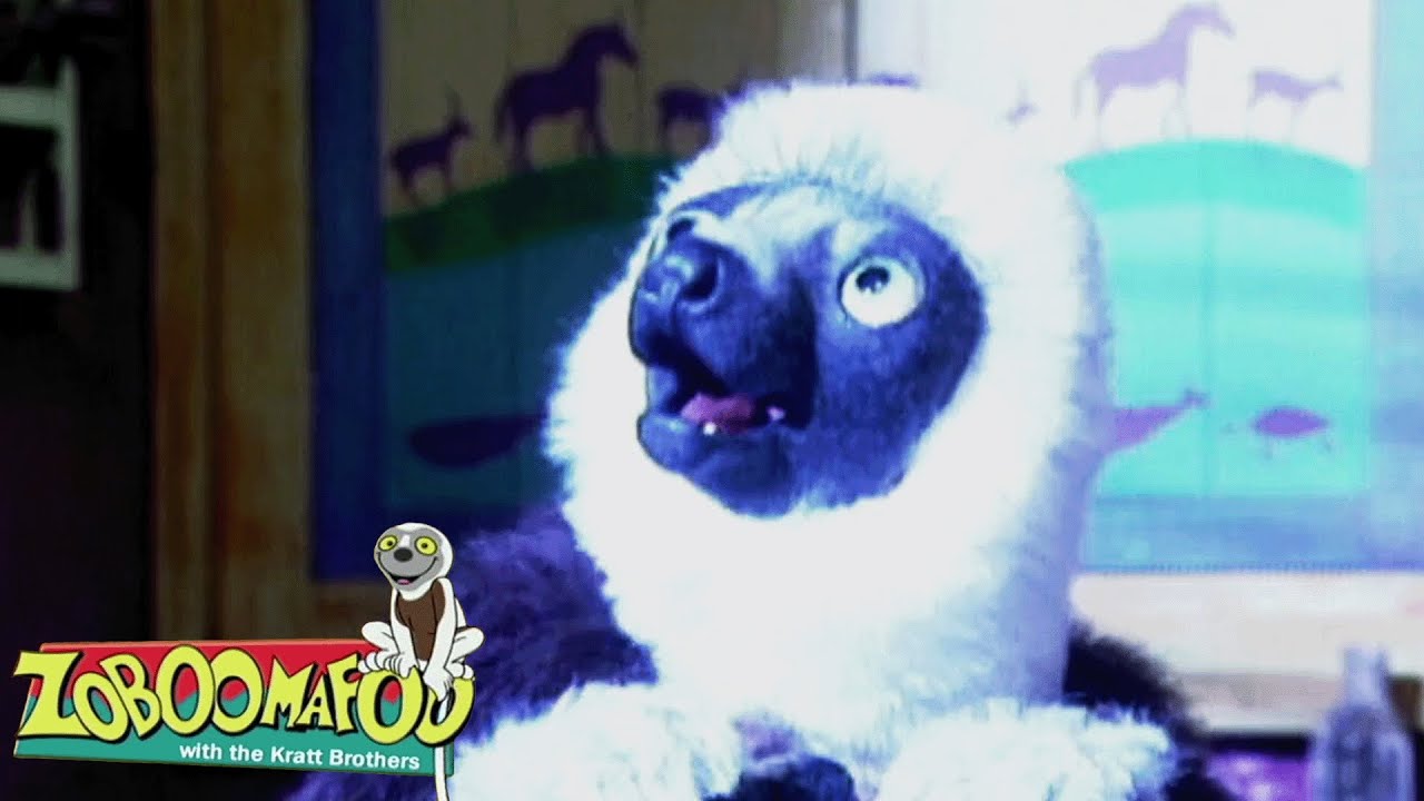 Festa do Medo | Zoboomafoo Português - WildBrain | Episódios Completos para Crianças
