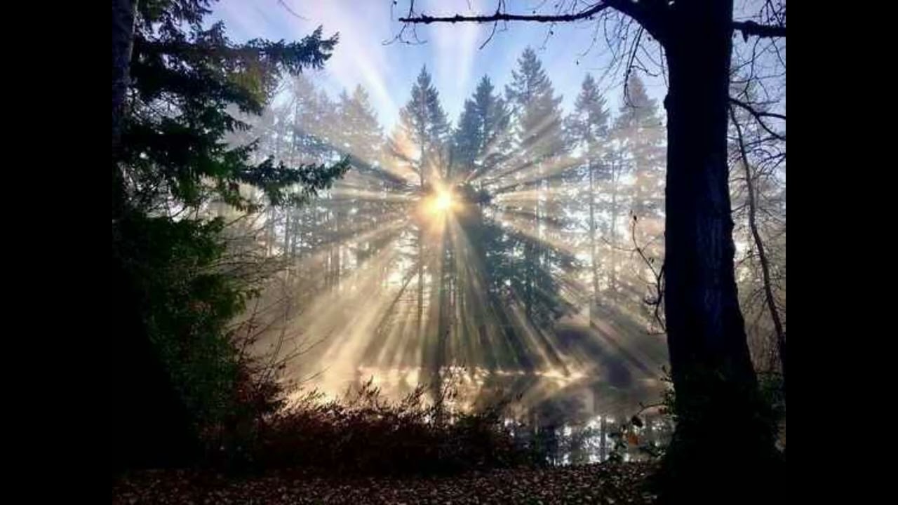 A$AP Rocky Clams Casino Type Beat 