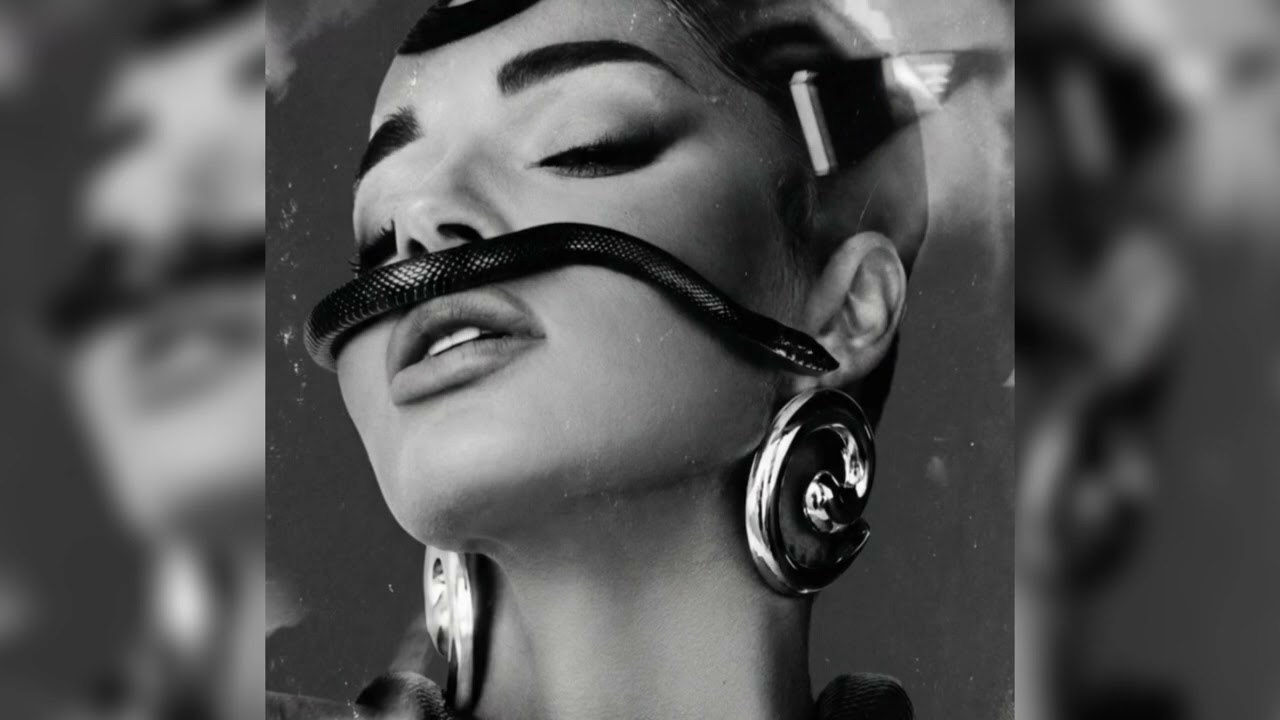 101 Zmija x U Njoj (ariari Mashup)