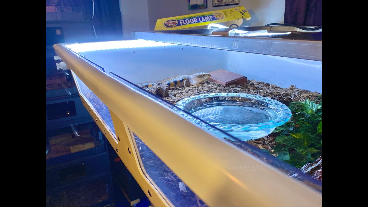 Installing LED Lights in a Reptile Rack