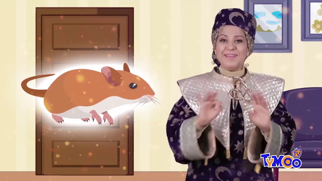 باب الحكايات حكاية 