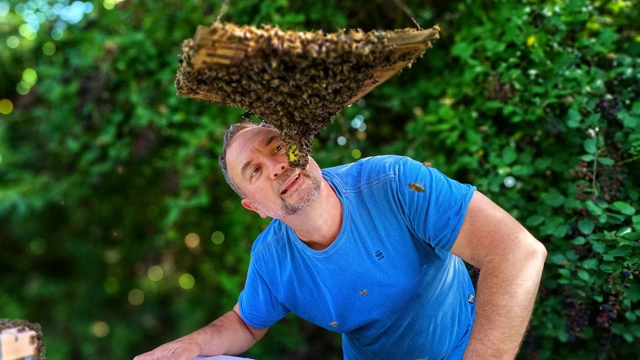 La transformation des nucléi : Secrets d'apiculture révélés - Apiculture S03E13