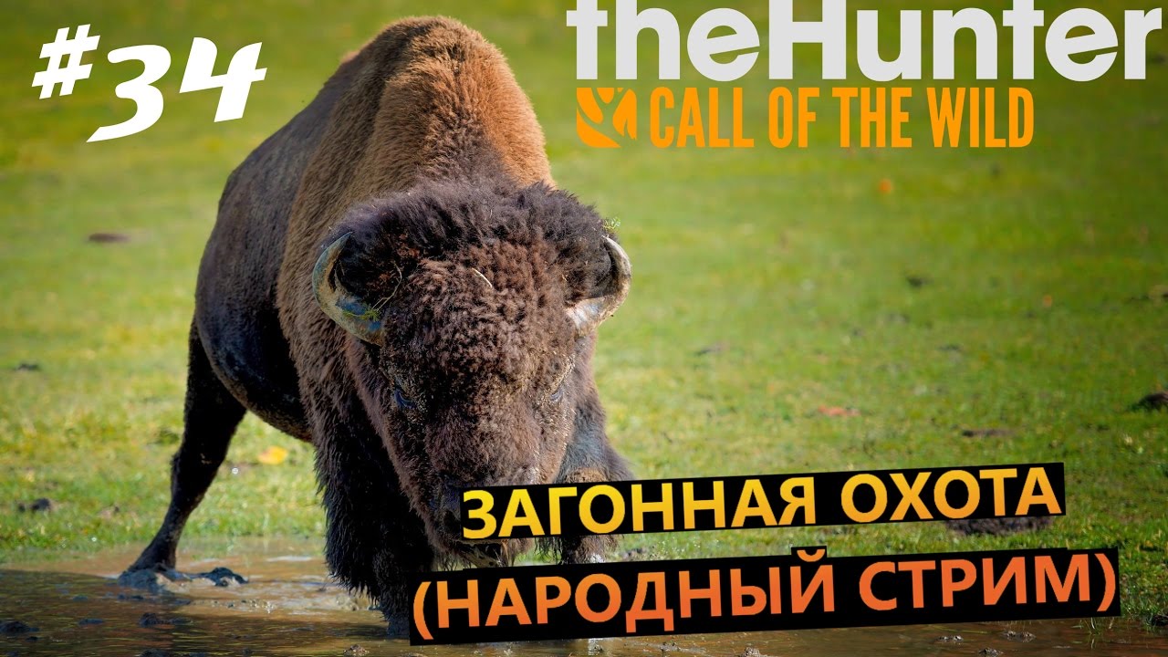 🔴theHunter Call of the Wild🔴 ЗАГОННАЯ ОХОТА