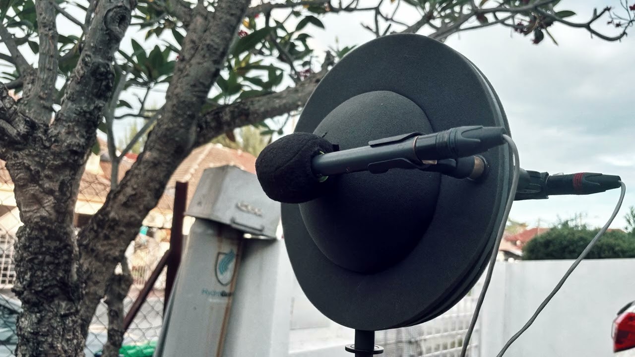 First Recording Trial Using the Haun OSS Schneider Disk with AKG CK92