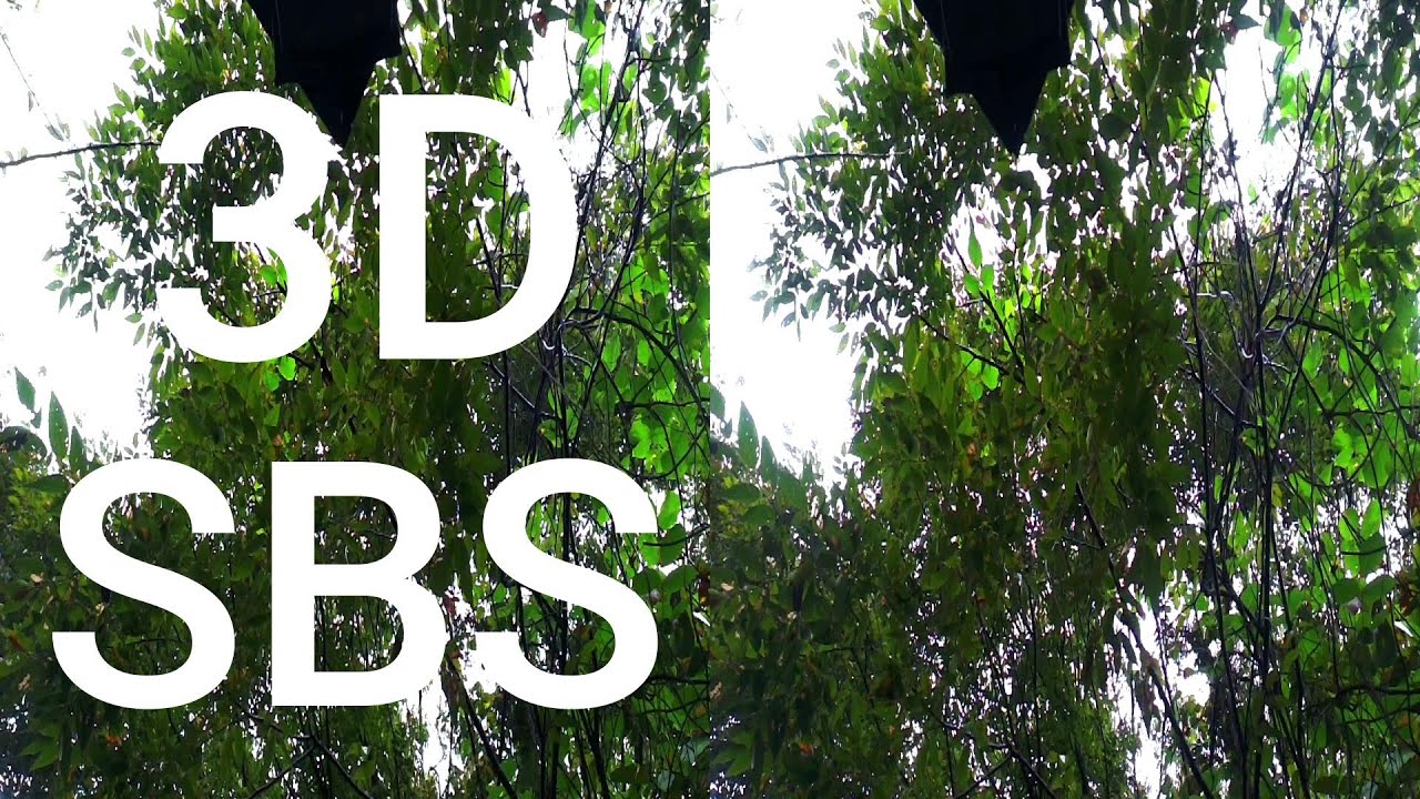 Raindrops from the Leaves | 3D SBS VR | QooCam EGO 視力回復・立体視