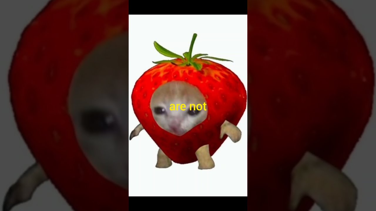 Berry???#shorts #viral #trending