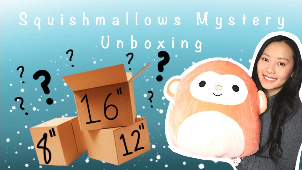 Squishmallows Mystery Box!