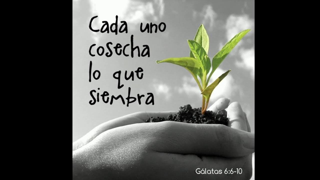 TEMA : SIEMBRA HOY Y COSECHARAS  MAÑANA