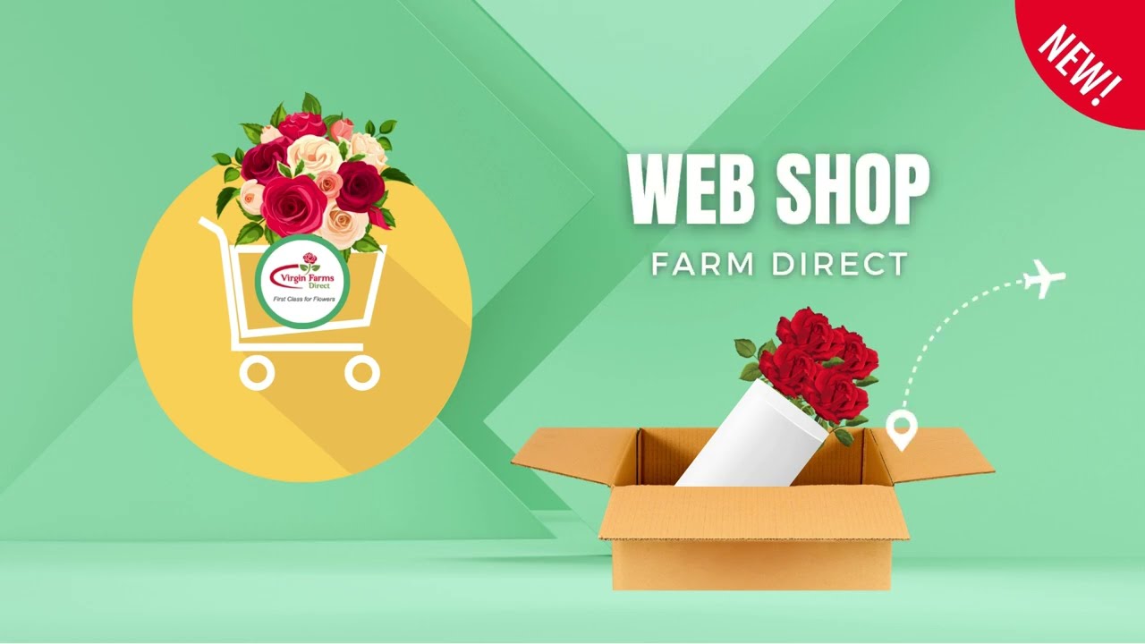 Farm Direct Flowers from Ecuador |  www.virginfarms.net | Web Shop Tutorial 4